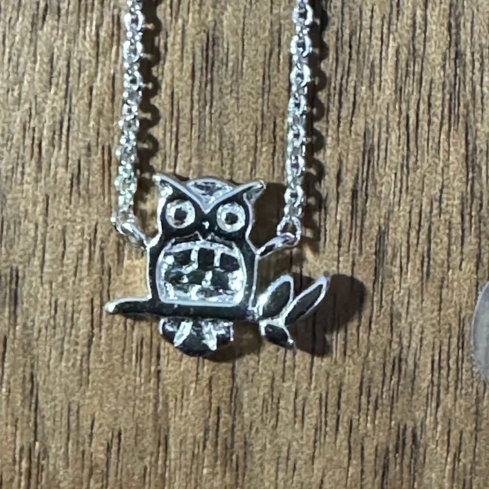 Silver Owl Pendant Necklace + Picasso Trinket Tray